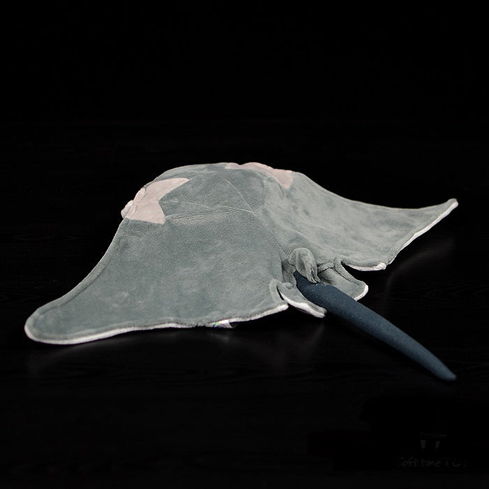 Maya the Manta Ray