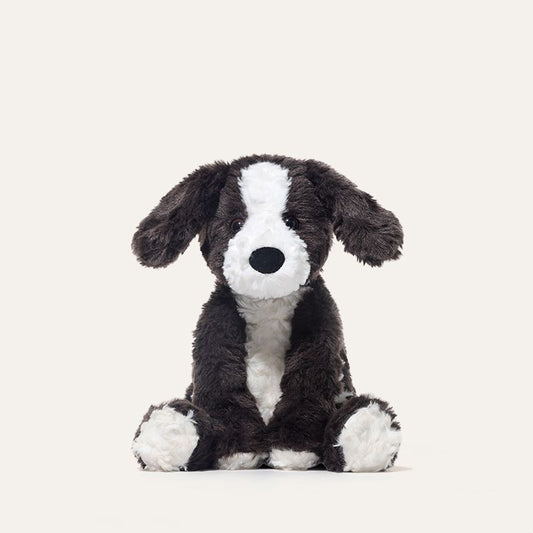 Lulu the Dog