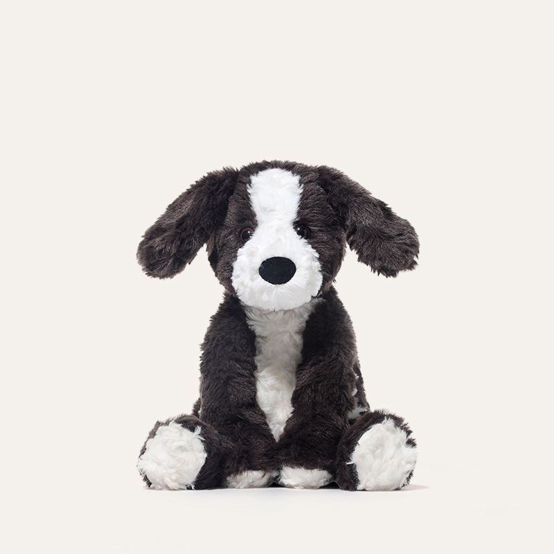 Lulu the Dog