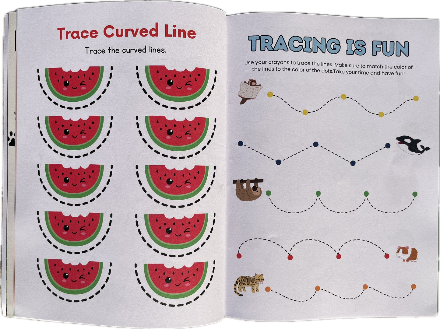 Learn with the Animals - Kids Workbook